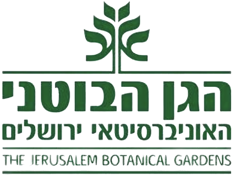 Screenshot 2026-02-22 at 17.14.21 1